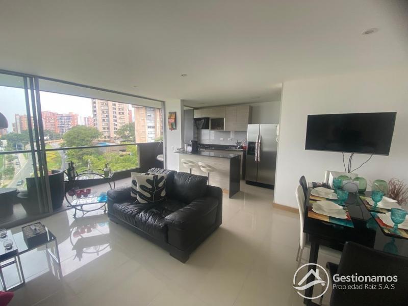 WhatsApp Image 2025-12-16 at 2.28.47 PM.jpeg